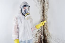 Trusted Gang Mills, NY Mold Removal Services Experts